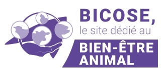 Logo pub Bicose BEA