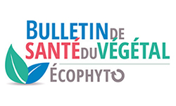 Logo BSV Ecophyto